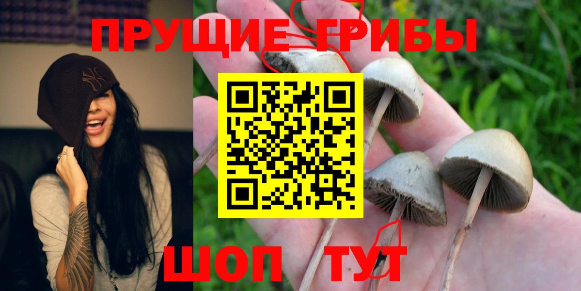 Галлюциногенные грибы GOLDEN TEACHER Назарово