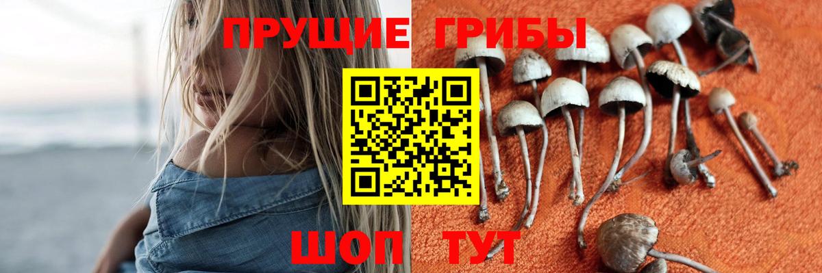 Галлюциногенные грибы GOLDEN TEACHER  Вход с VPN  Назарово  Галлюциногенные грибы Psilocybe 